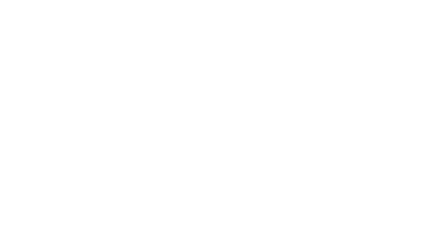 Vaillant