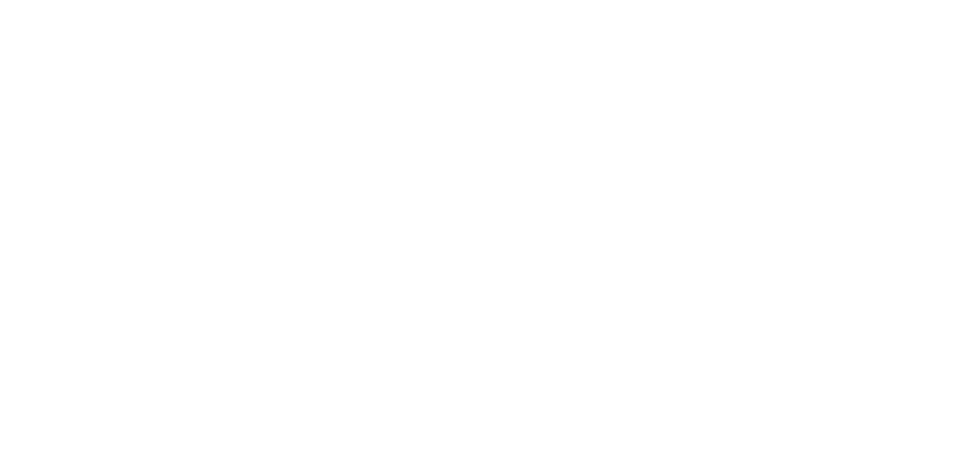 Viessmann boilers