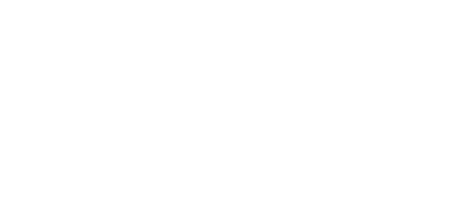 Viessmann