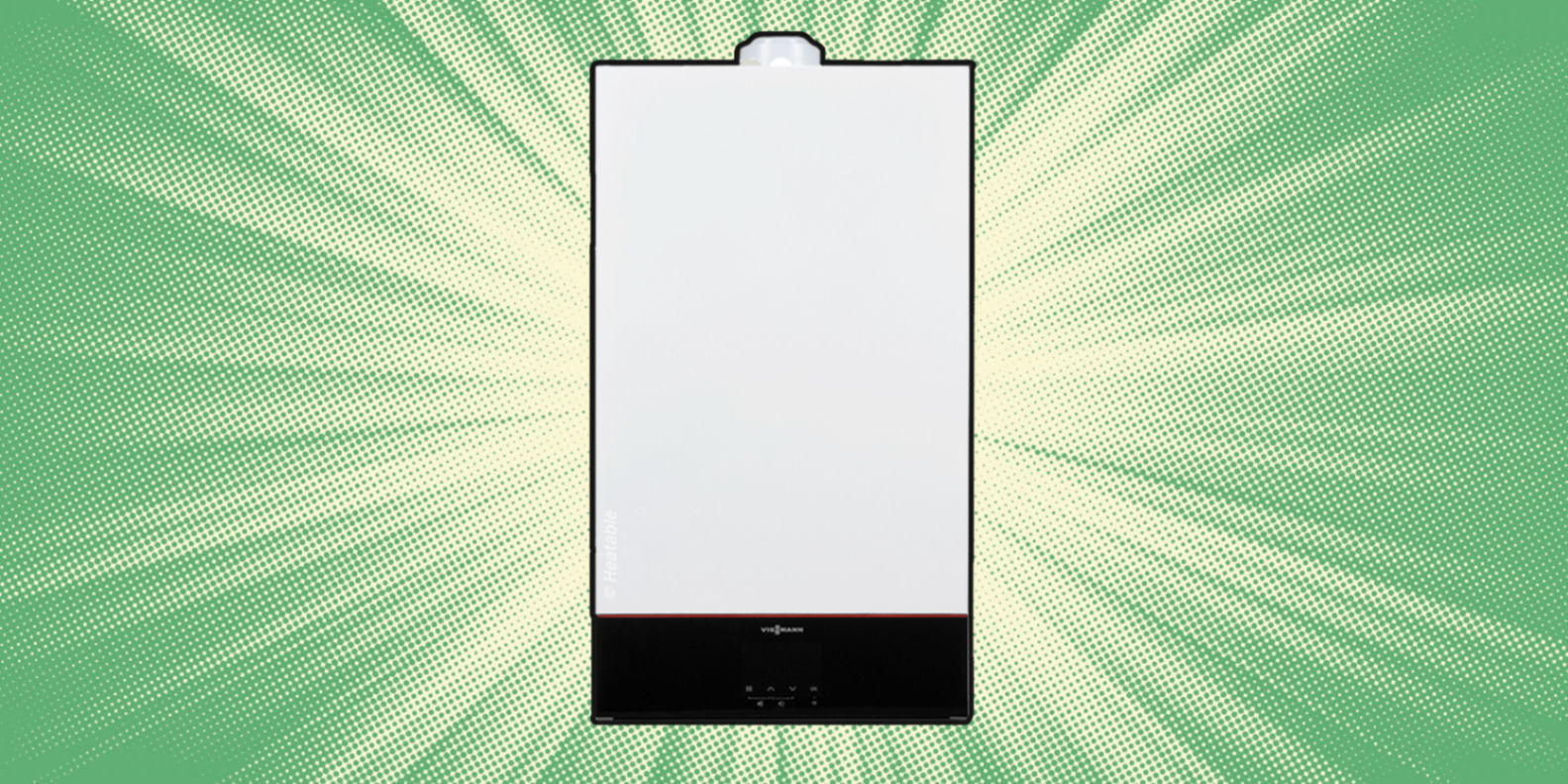 Viessmann Vitodens 100-W