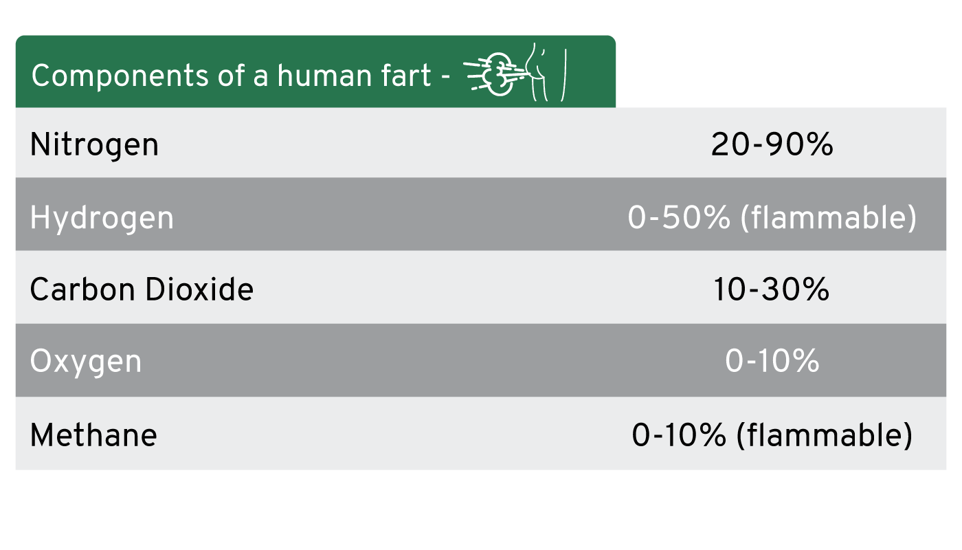 Components of a Human Fart